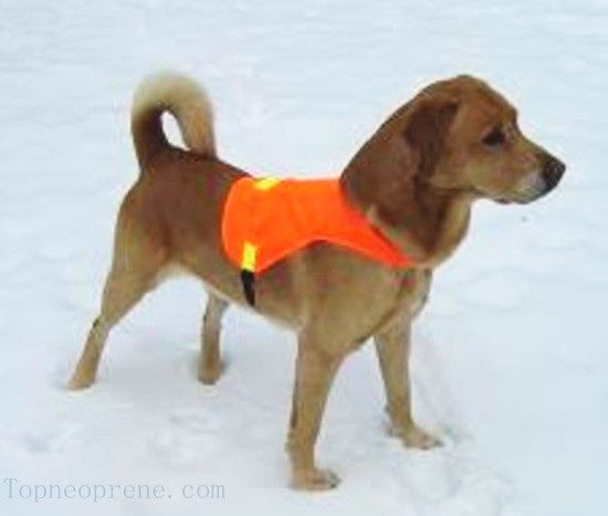 reflective hunting vest for dog