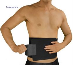 Adjustable neoprene waist trimmer belt brace